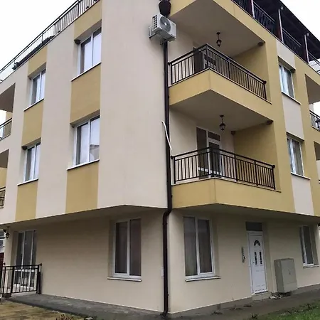 ели Daire Obzor