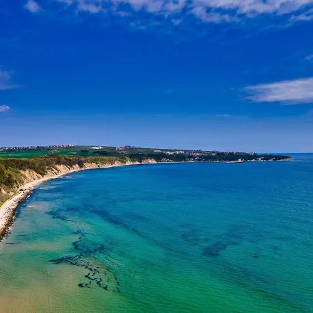 ели * オブゾー