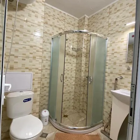 ели Obzor