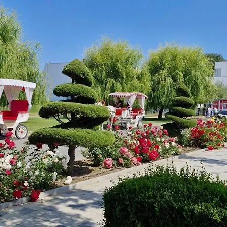 דירה ели אובזור