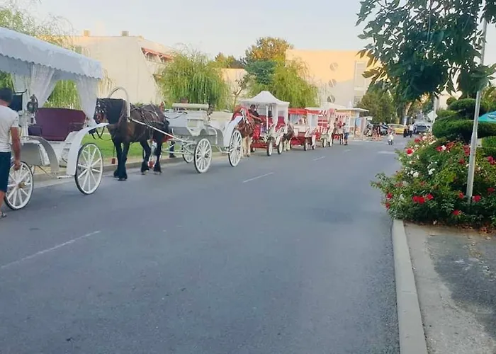 ели Апартамент *