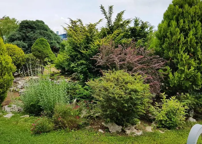 ели Апартамент *