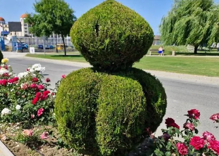 ели Апартамент *